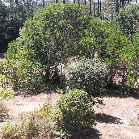 Дом отдыха Maison Landaise Avec Jardin Au Coeur Des Abatilles, Proche Golf Et Plages - - Fr-1-319-383 *